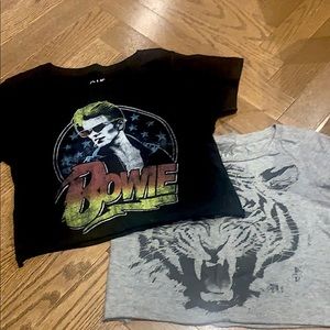 Pair of crop t-shirts. Size medium... fits small.